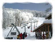 Pistas de Ski :: Cerro Chapelco :: San Martin de los Andes
