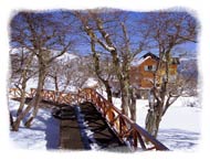 Caba&ntilde;as :: Cerro Chapelco :: San Martin de los Andes