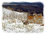 Caba&ntilde;as :: Cerro Chapelco :: San Martin de los Andes